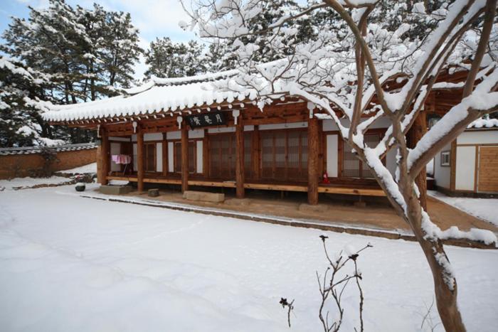 Wolamjae Villa Gyeongju Dış mekan fotoğraf