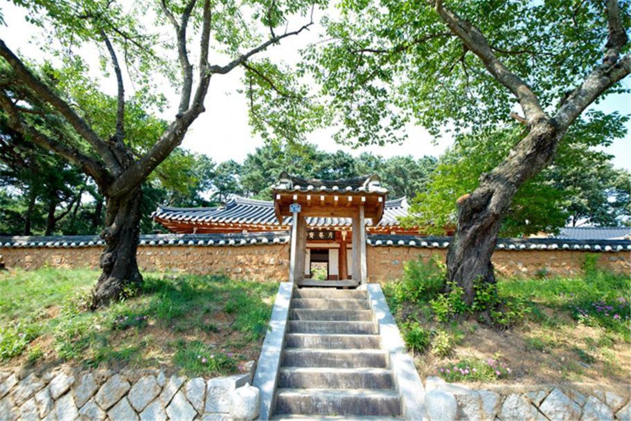 Wolamjae Villa Gyeongju Oda fotoğraf